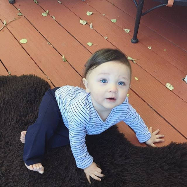 Venice Baby Legging Pants - 2 Pack (2 Colors) Organic Cotton