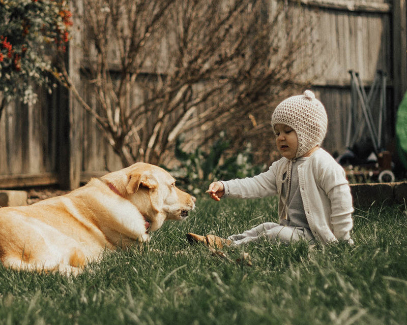 Milan Pastel Button Cardigan Sweater Knit (Organic Cotton)- 5 Colors