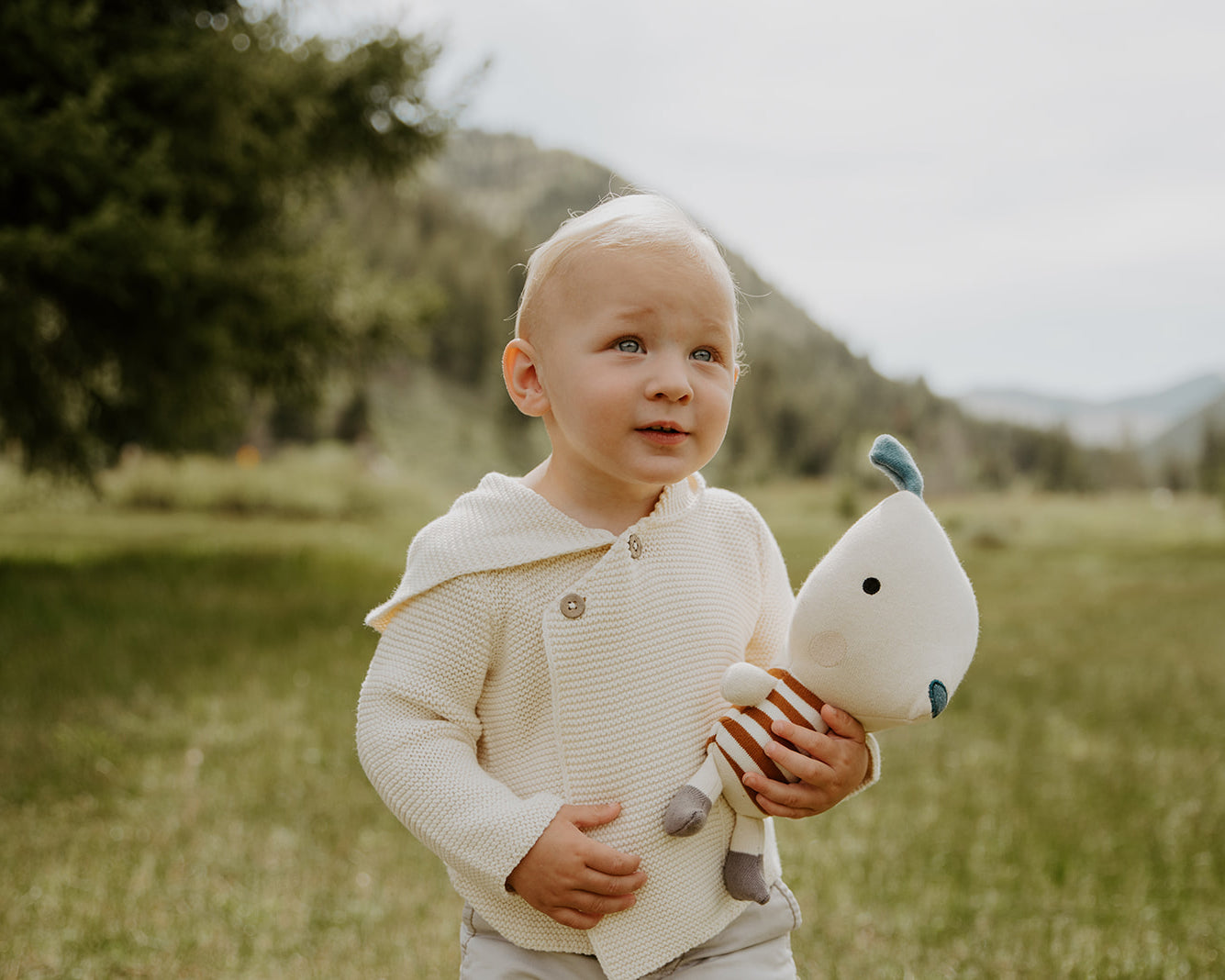 Milan Pastel Knit Hooded Button Jacket (Organic Cotton) -4 Colors