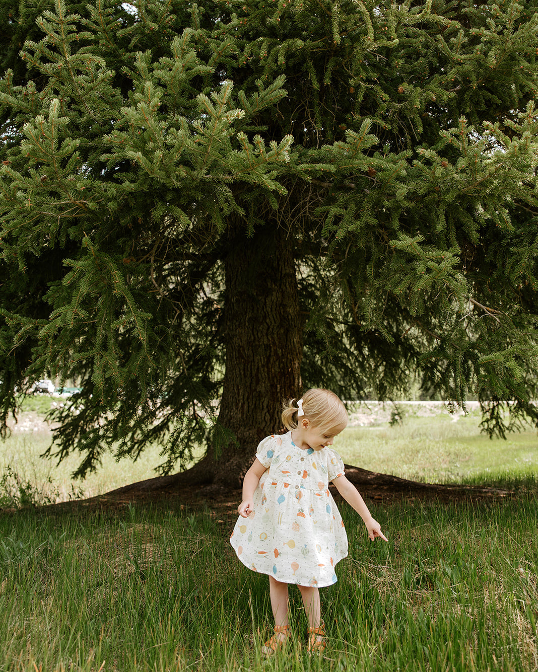 Veggie Puff Sleeve Dress + Bloomer (Organic Muslin)