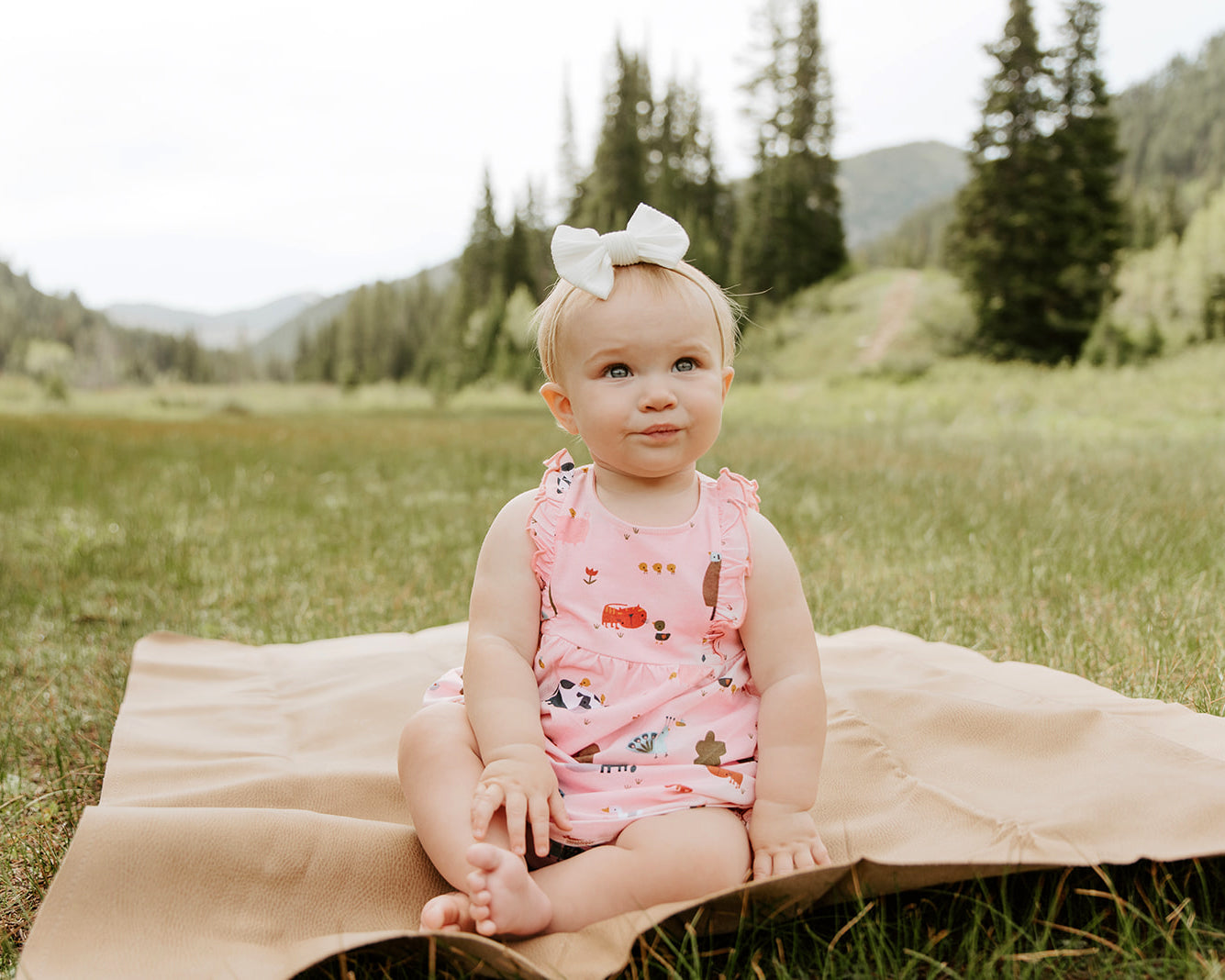 Chick Chick Farm Ruffle Dress + Bloomer SET (Organic Cotton)