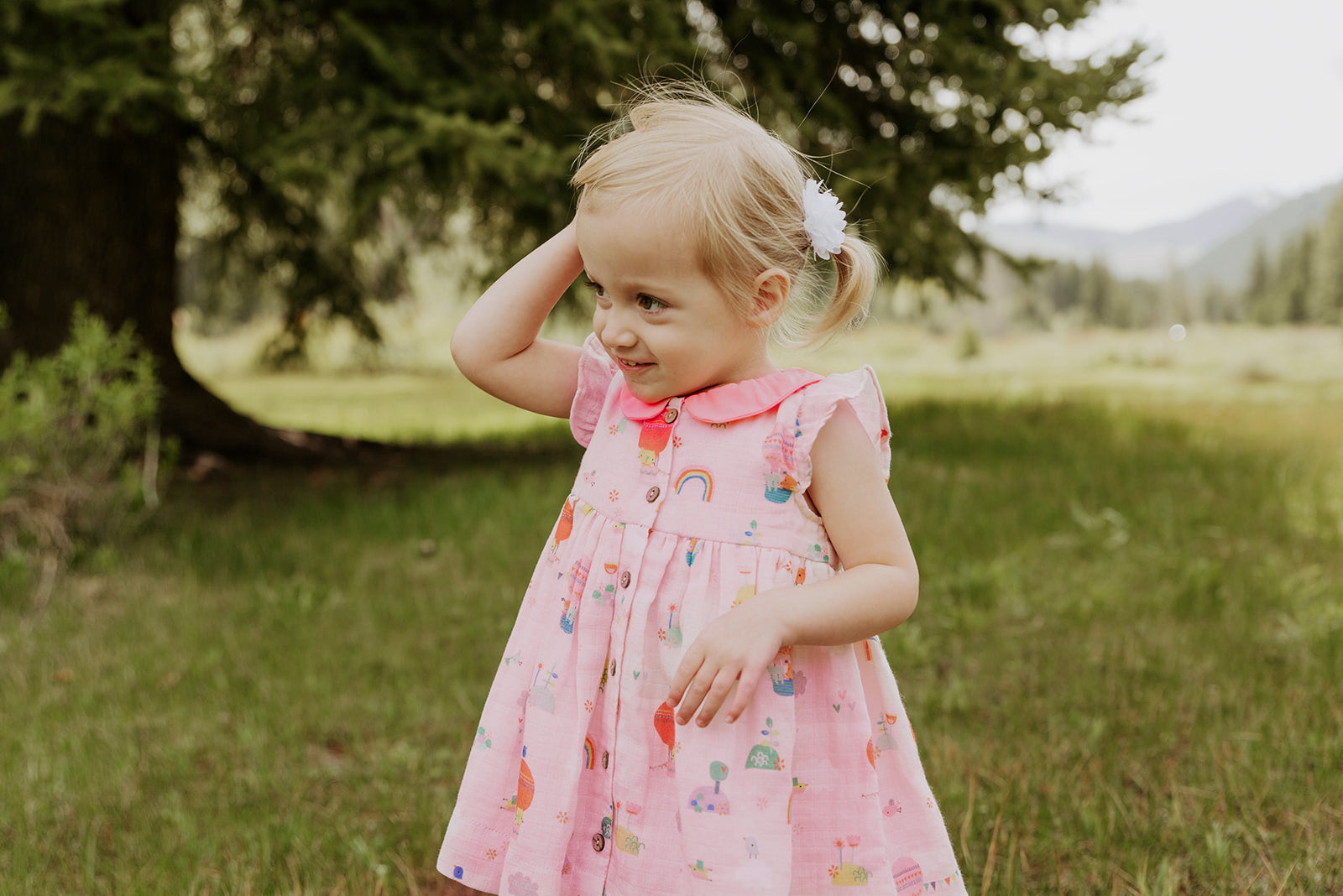 Balloon Collar & Button Dress+Bloomer Set (Organic Muslin)