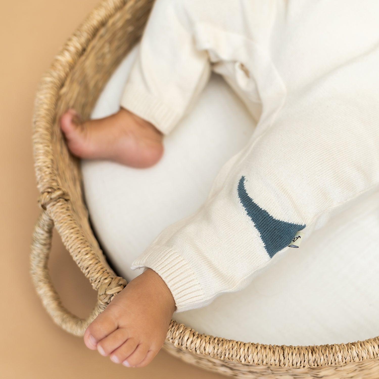 Dino Jacquard Knit Baby Overall Set (Organic)