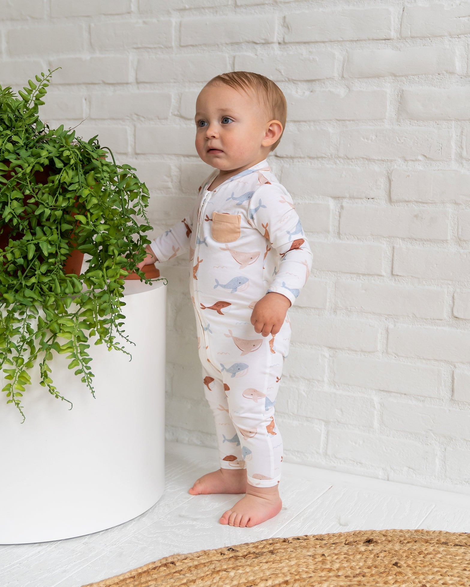 Whales Zipper Baby Jumpsuit (Organic Jersey)