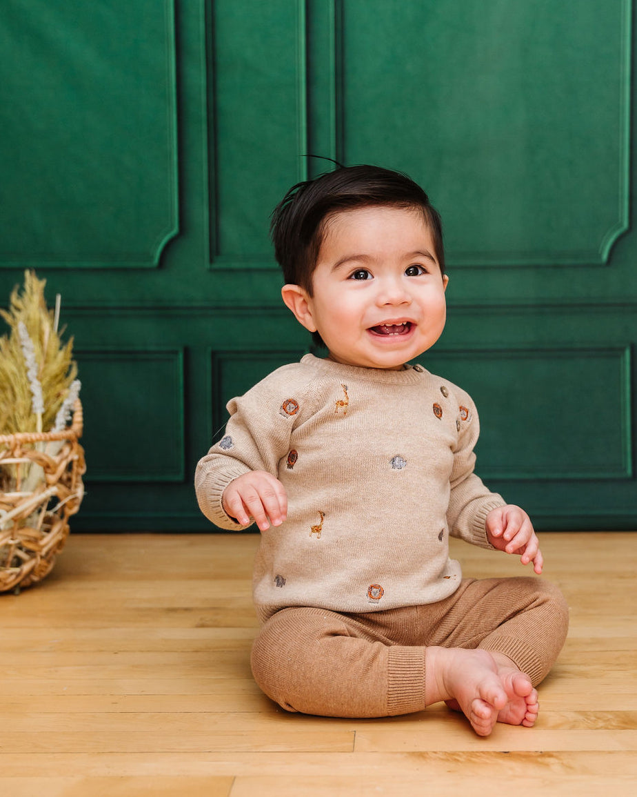 Mini Safari Animal Embroidered Raglan Baby Pullover Sweater (Organic Cotton)