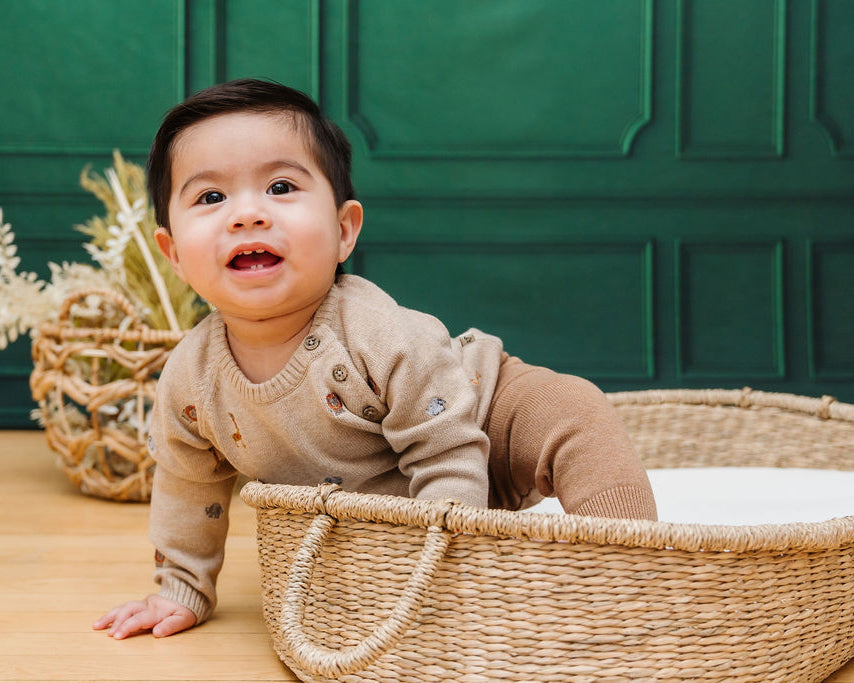 Mini Safari Animal Embroidered Raglan Baby Pullover Sweater (Organic Cotton)