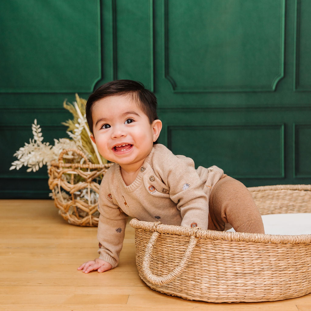 Mini Safari Animal Embroidered Raglan Baby Pullover Sweater (Organic Cotton)