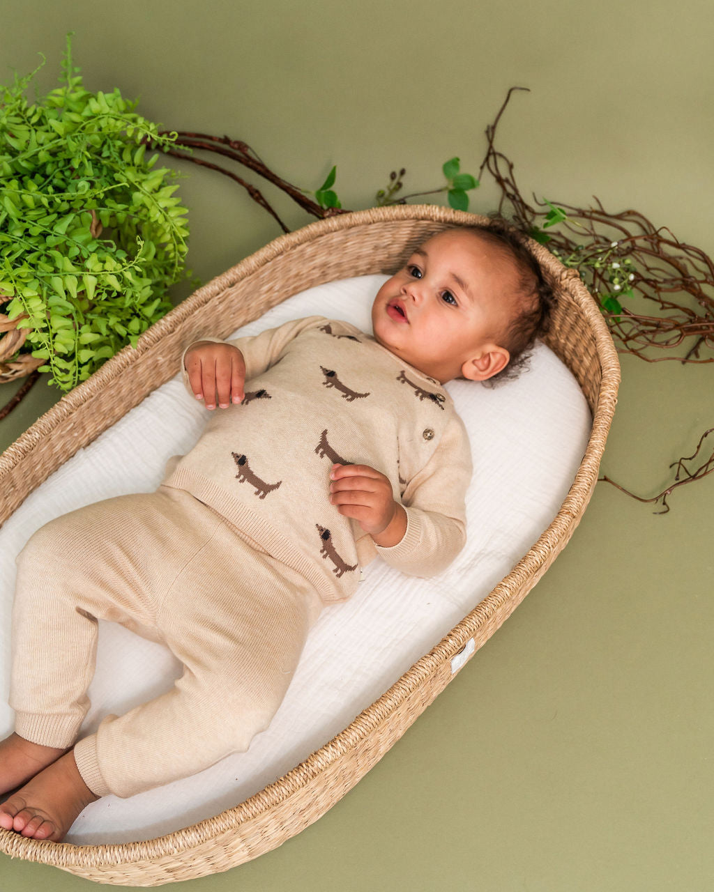 Doxie Dog Jacquard Knit Baby Raglan Pullover Sweater (Organic Cotton)