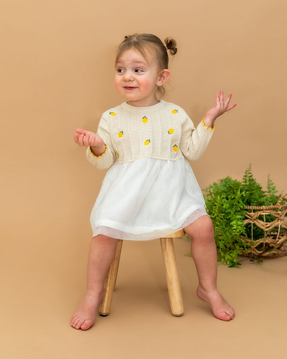 Lemon Embroidered Pointelle Knit Tutu Baby Dress (Organic Cotton)