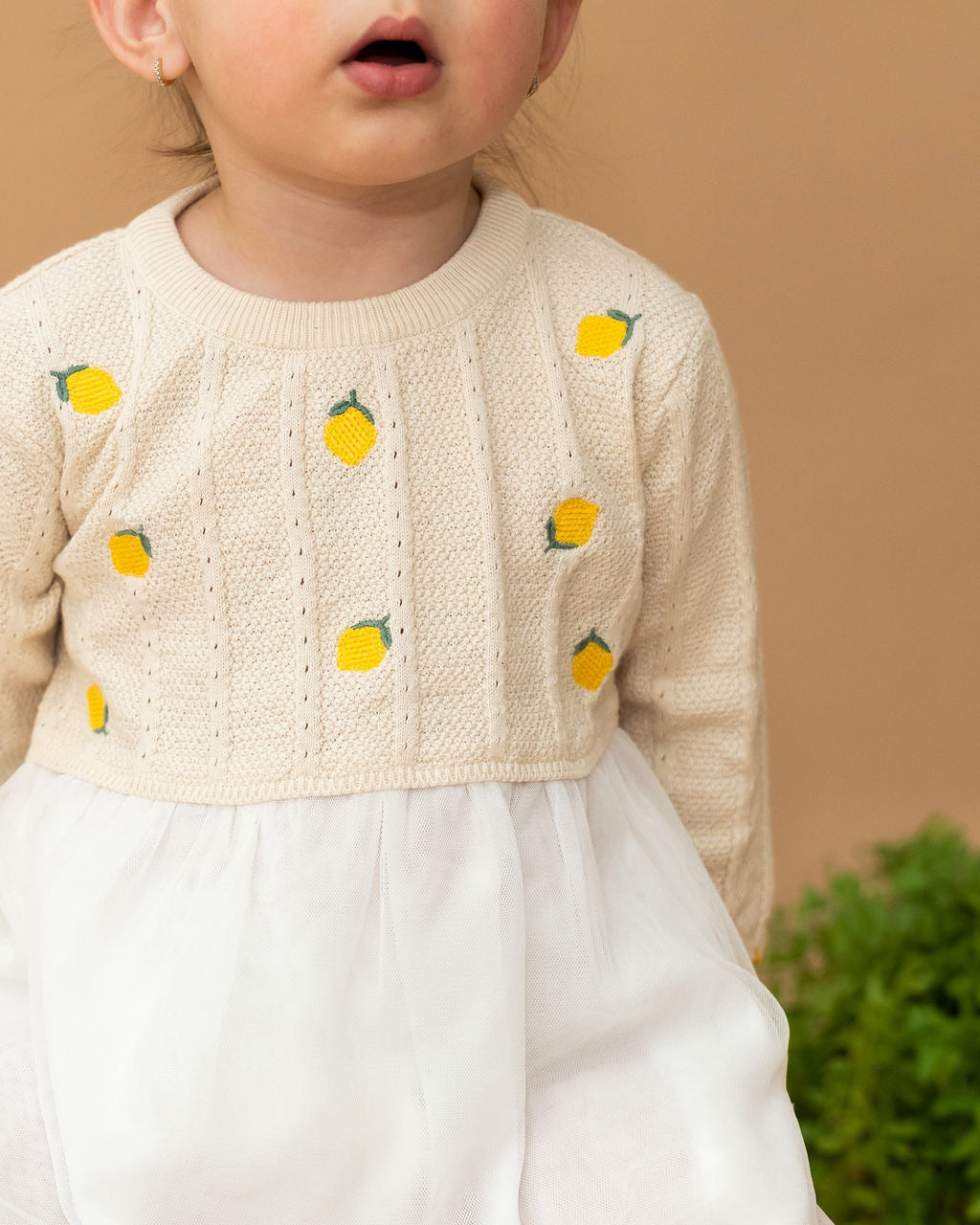 Lemon Embroidered Pointelle Knit Tutu Baby Dress (Organic Cotton)