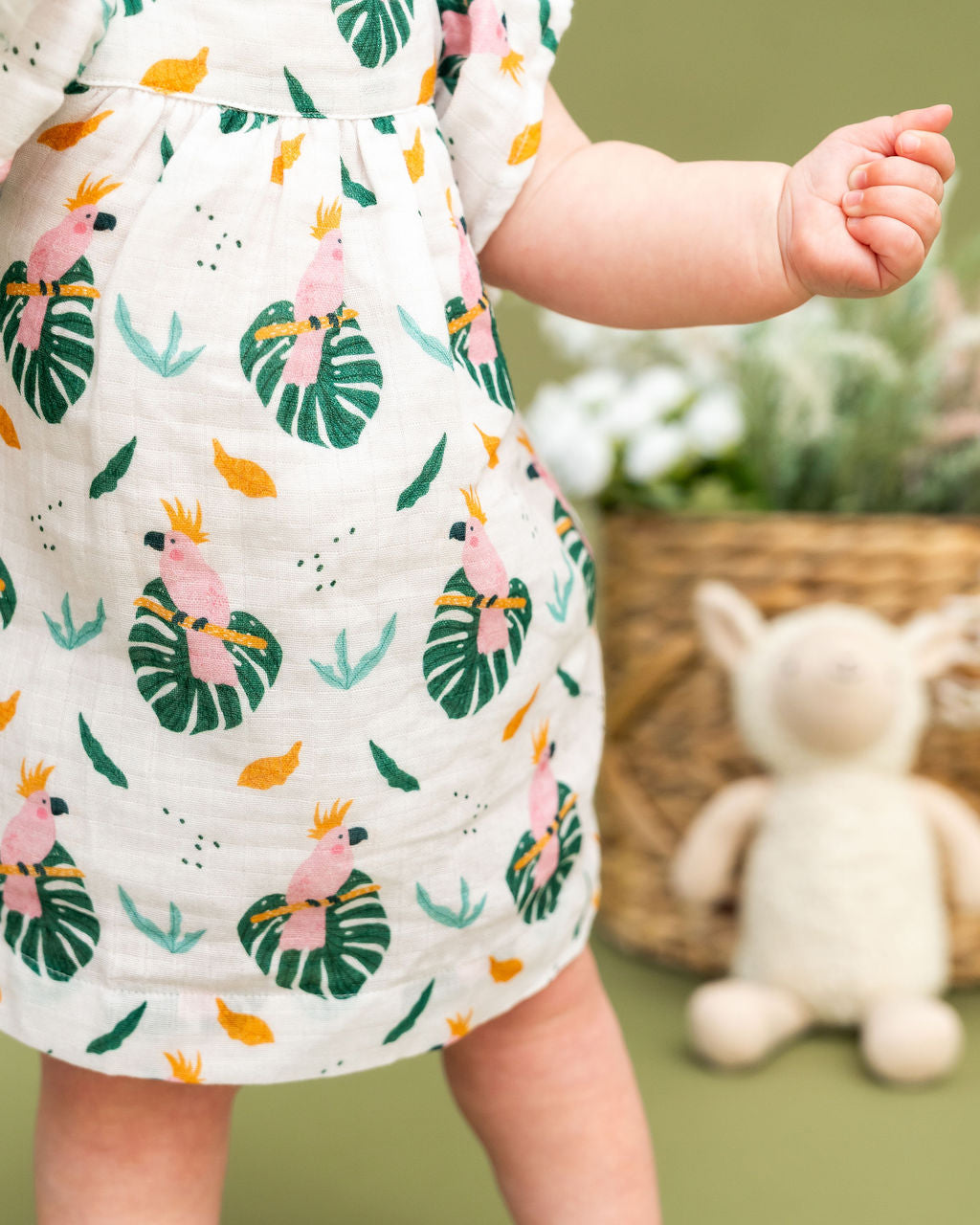 Parrot Ruffle Sleeve Baby Dress + Bloomer Set (Organic Muslin)