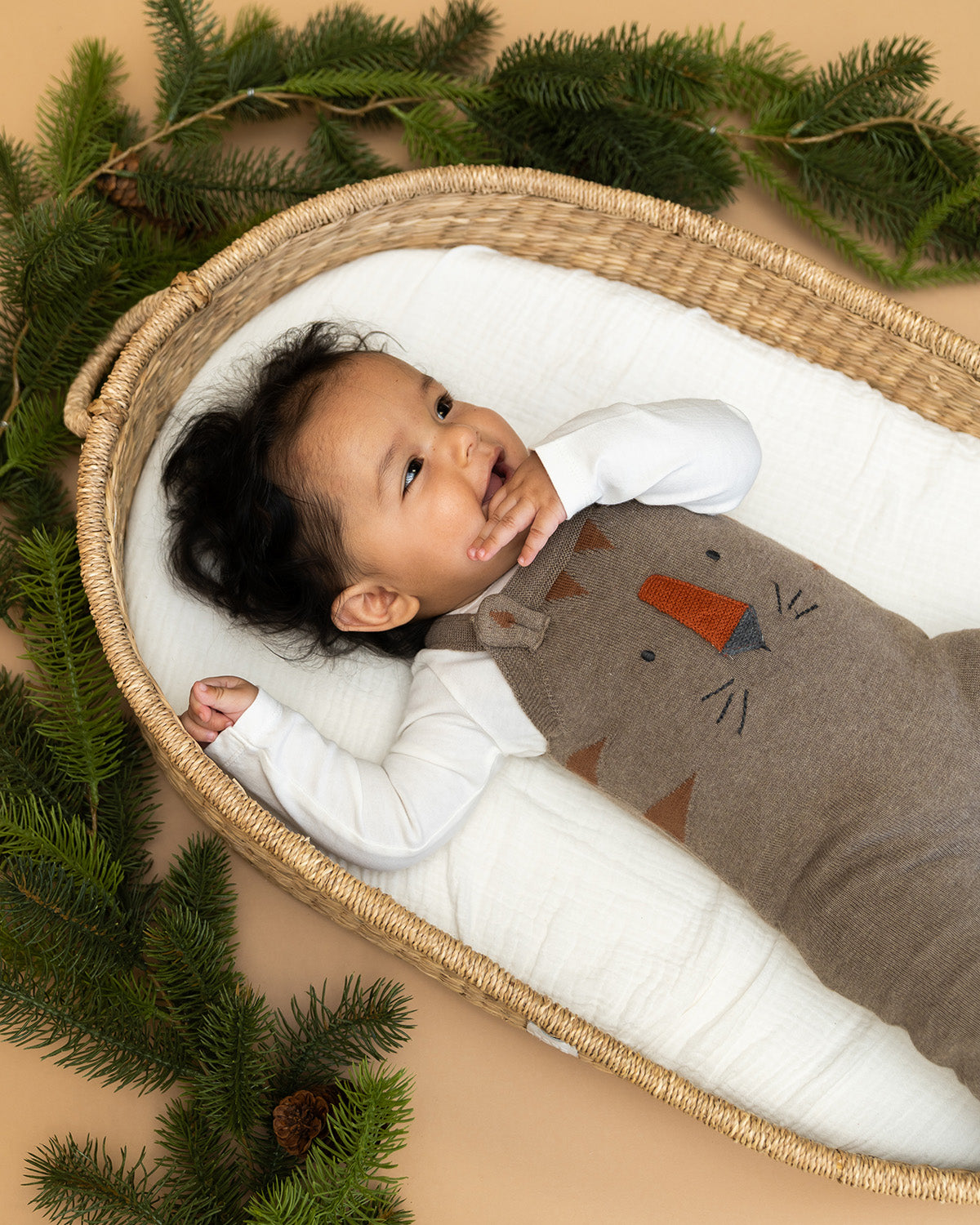 Tiger Jacquard Knit Baby Overall Set (Organic Cotton)