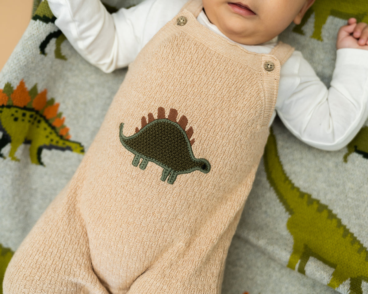 Dino Embroidered Baby Knit Overall Set (Organic Cotton)