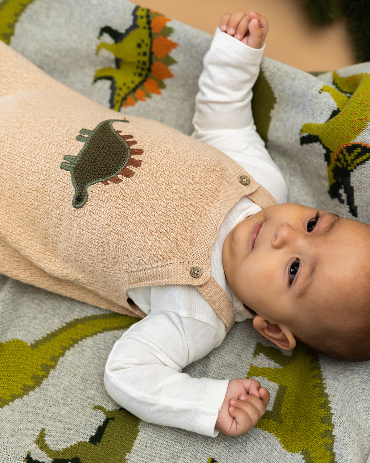 Dino Embroidered Baby Knit Overall Set (Organic Cotton)