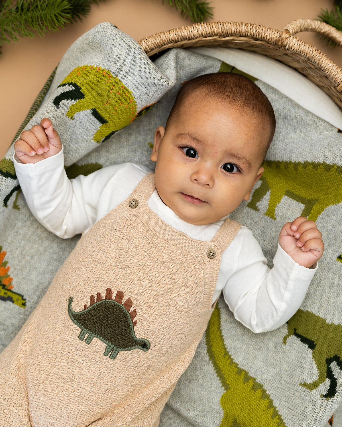 Dino Embroidered Baby Knit Overall Set (Organic Cotton)
