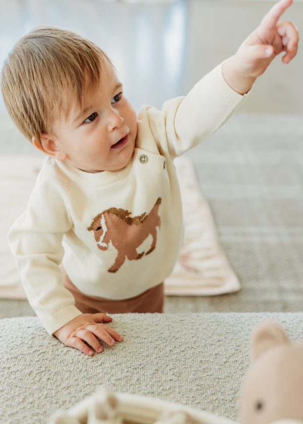 Horse Jacquard Sweater Knit Baby Pullover (Organic Cotton)
