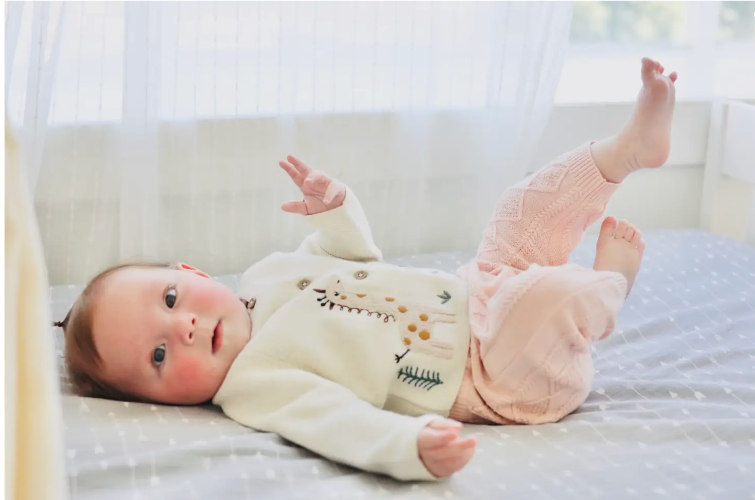 Animal Safari Embroidered Organic Baby Cardigan Sweater - 3 Colors