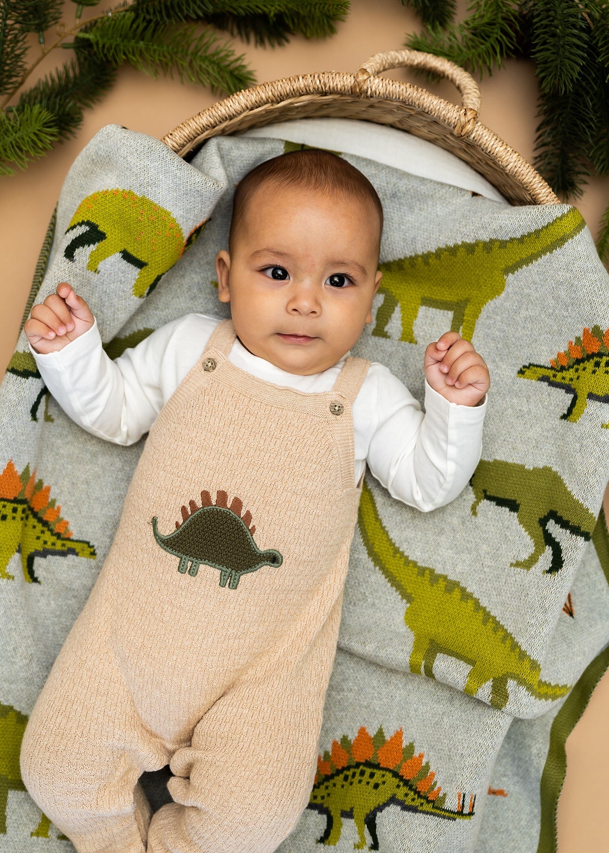 Green Dinosaur - Organic Cotton Jacquard Sweater Knit Baby Blankets