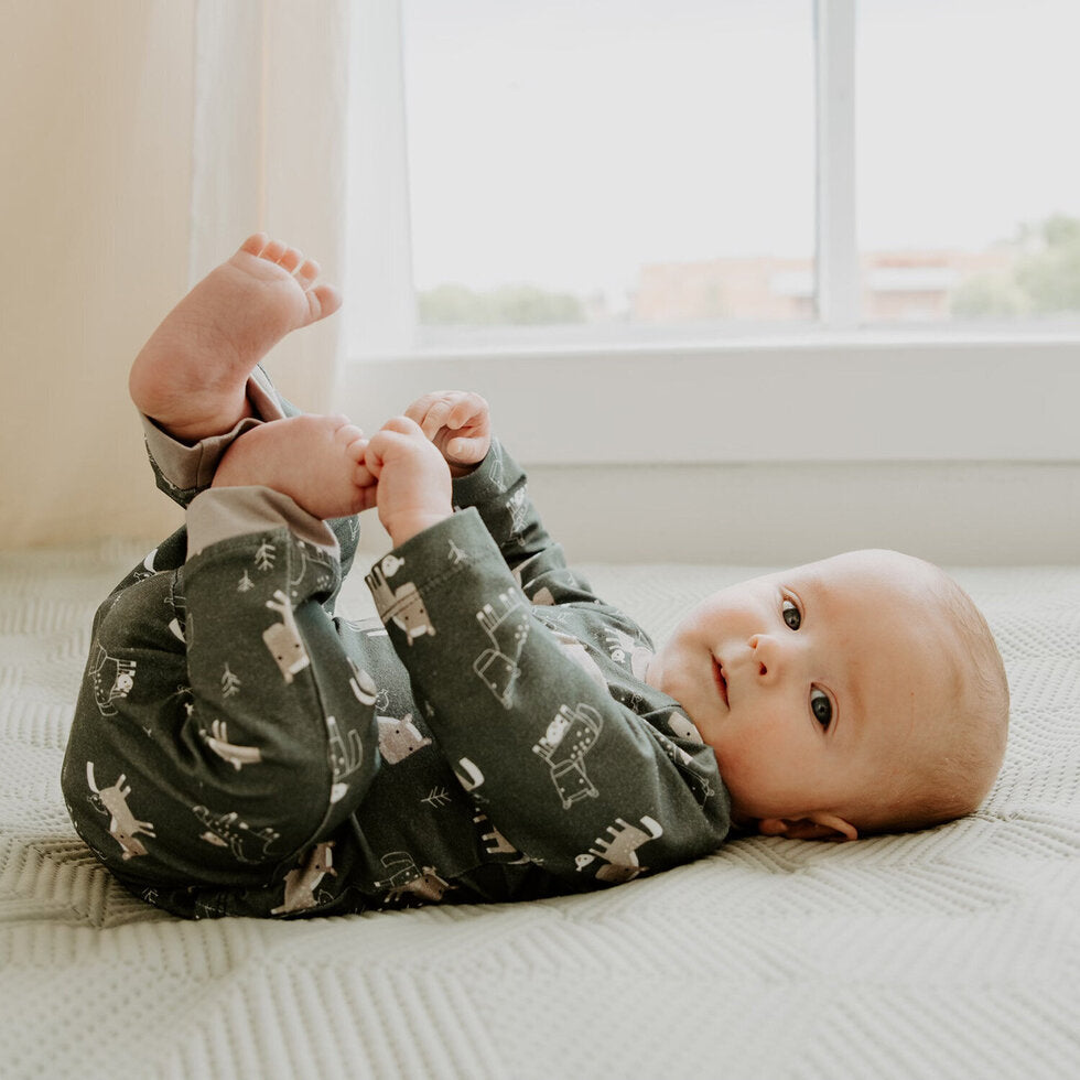 Horse & Bird Long Sleeve Pocket Tee & Jogger Playsuit SET (Organic Cotton)