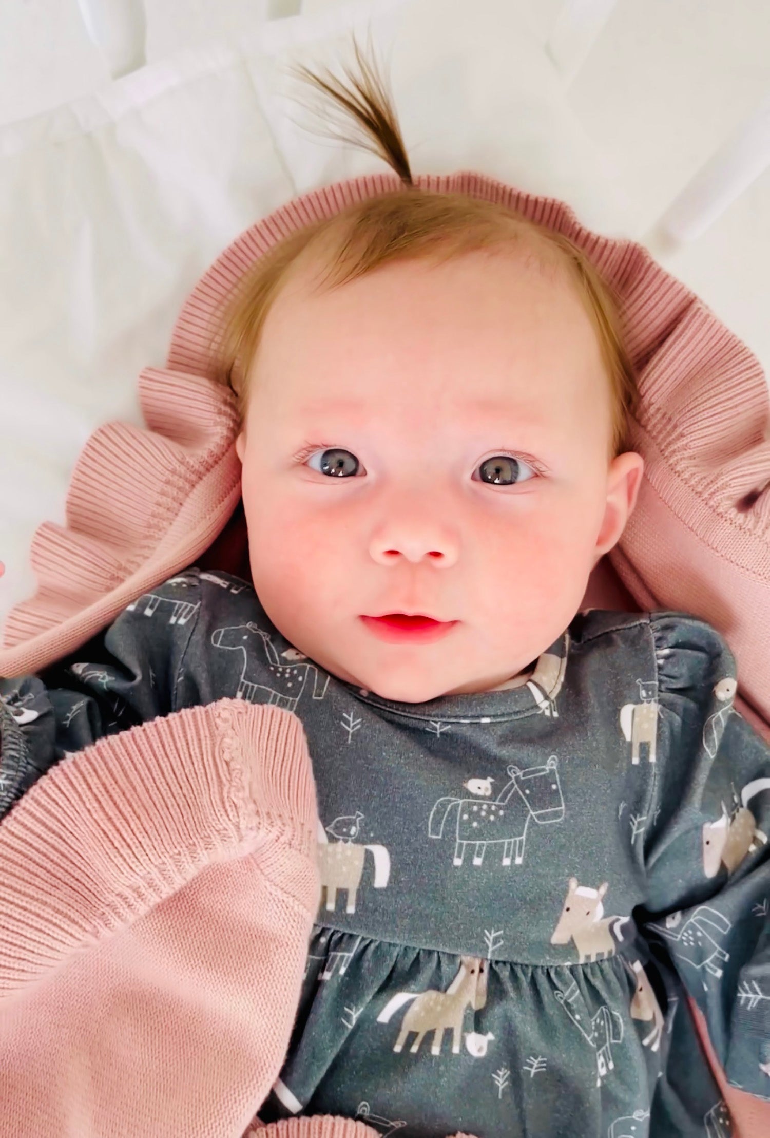 Horse & Bird Baby Flare Dress+ Bloomer Set (Organic Cotton)