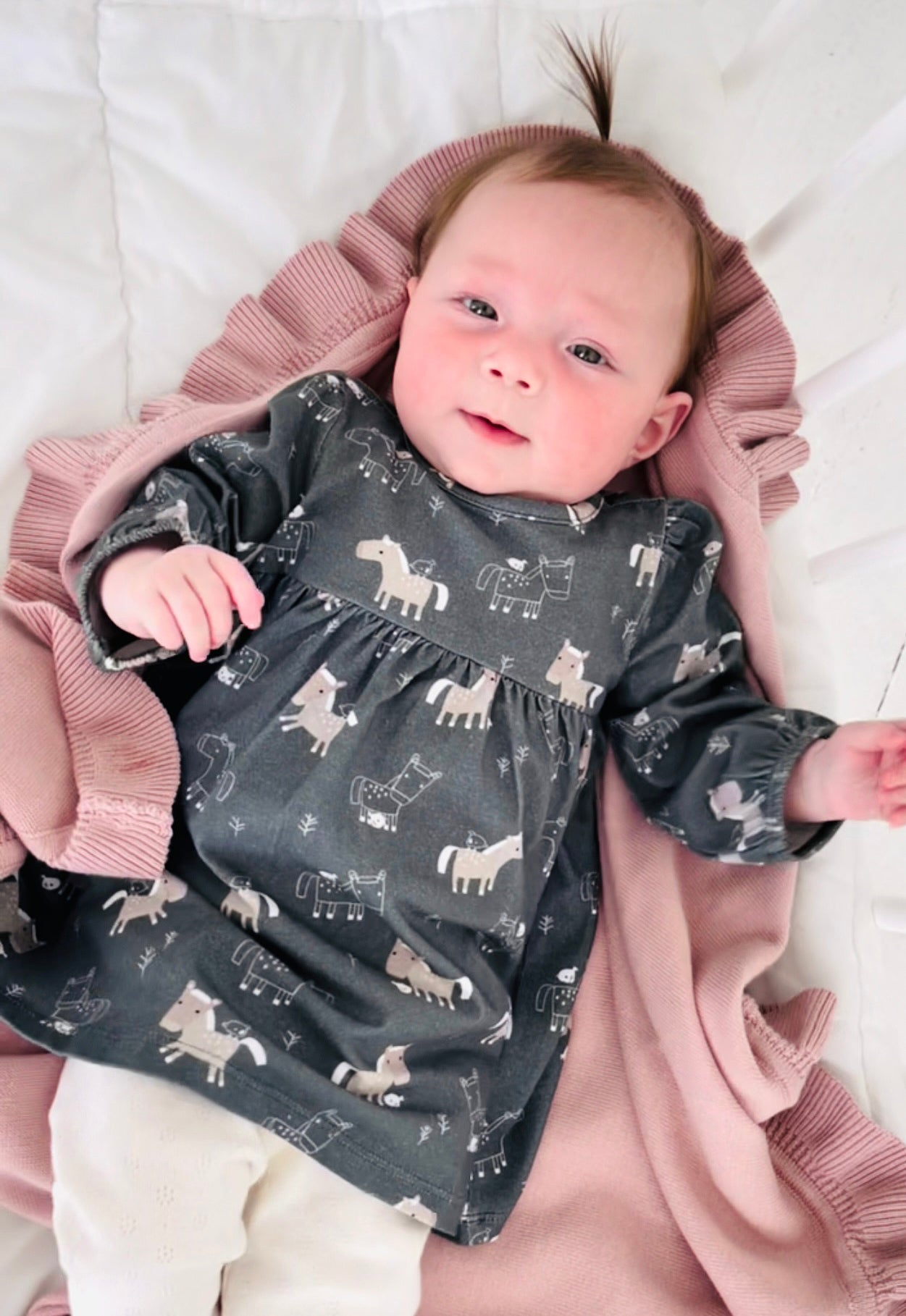 Horse & Bird Baby Flare Dress+ Bloomer Set (Organic Cotton)