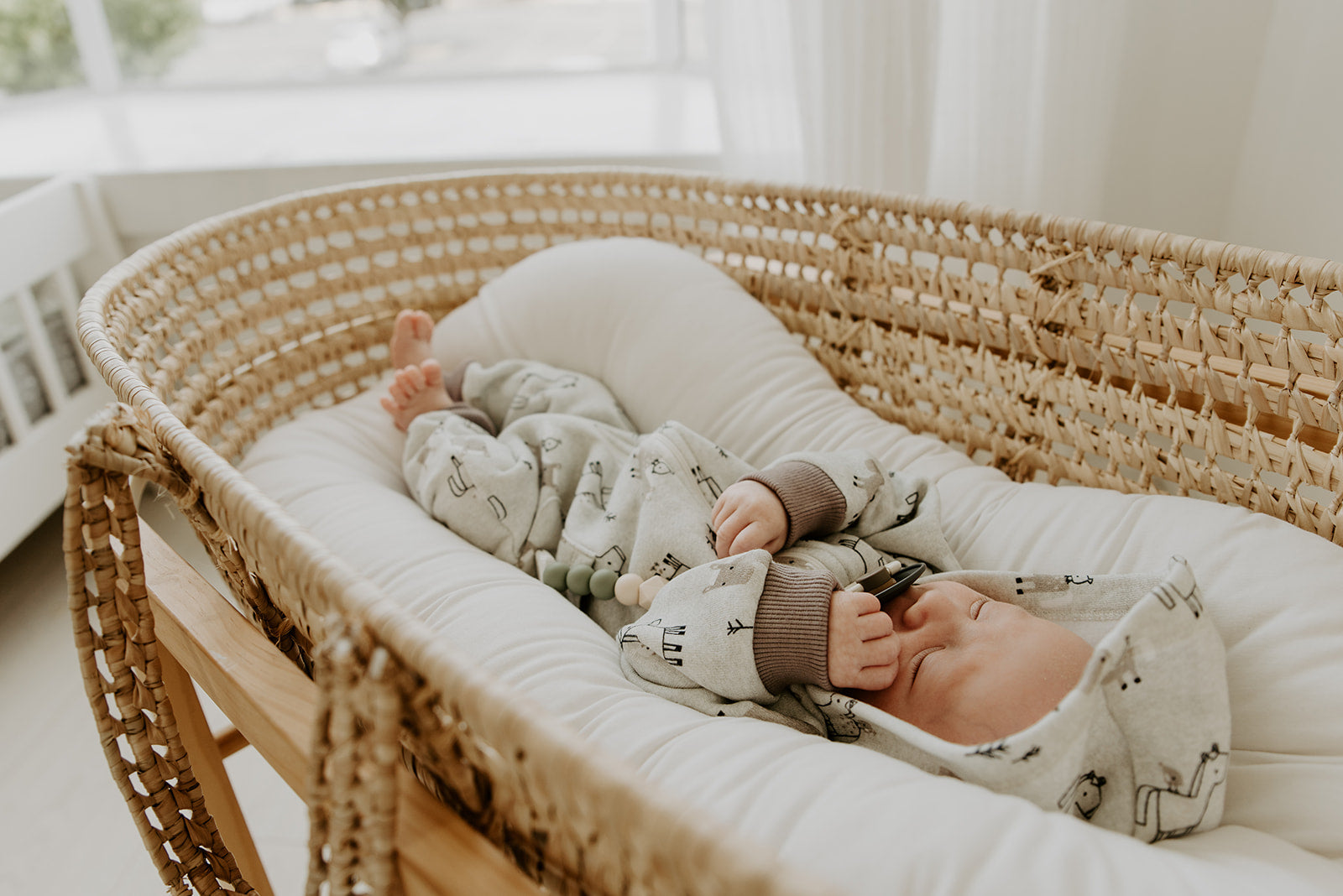 Horse & Bird Fleece Hooded Zipper Baby Jumpsuit (Organic Cotton)