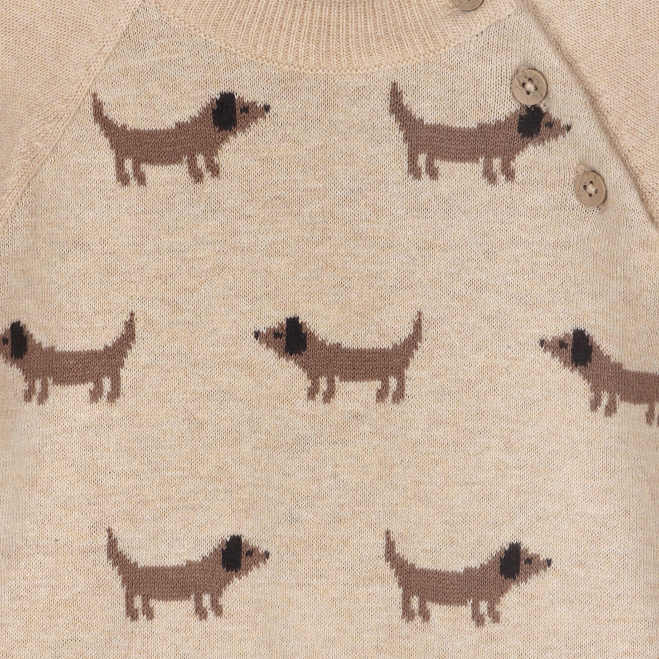 Doxie Dog Jacquard Knit Baby Raglan Pullover Sweater (Organic Cotton)