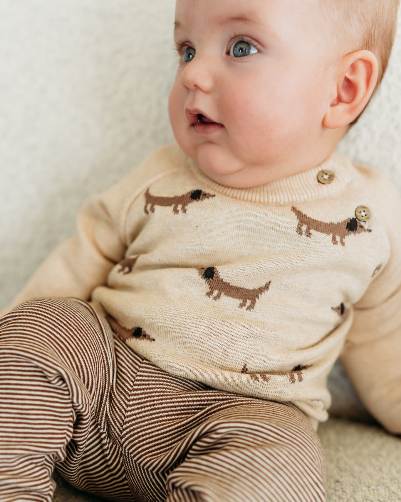 Doxie Dog Jacquard Knit Baby Raglan Pullover Sweater (Organic Cotton)