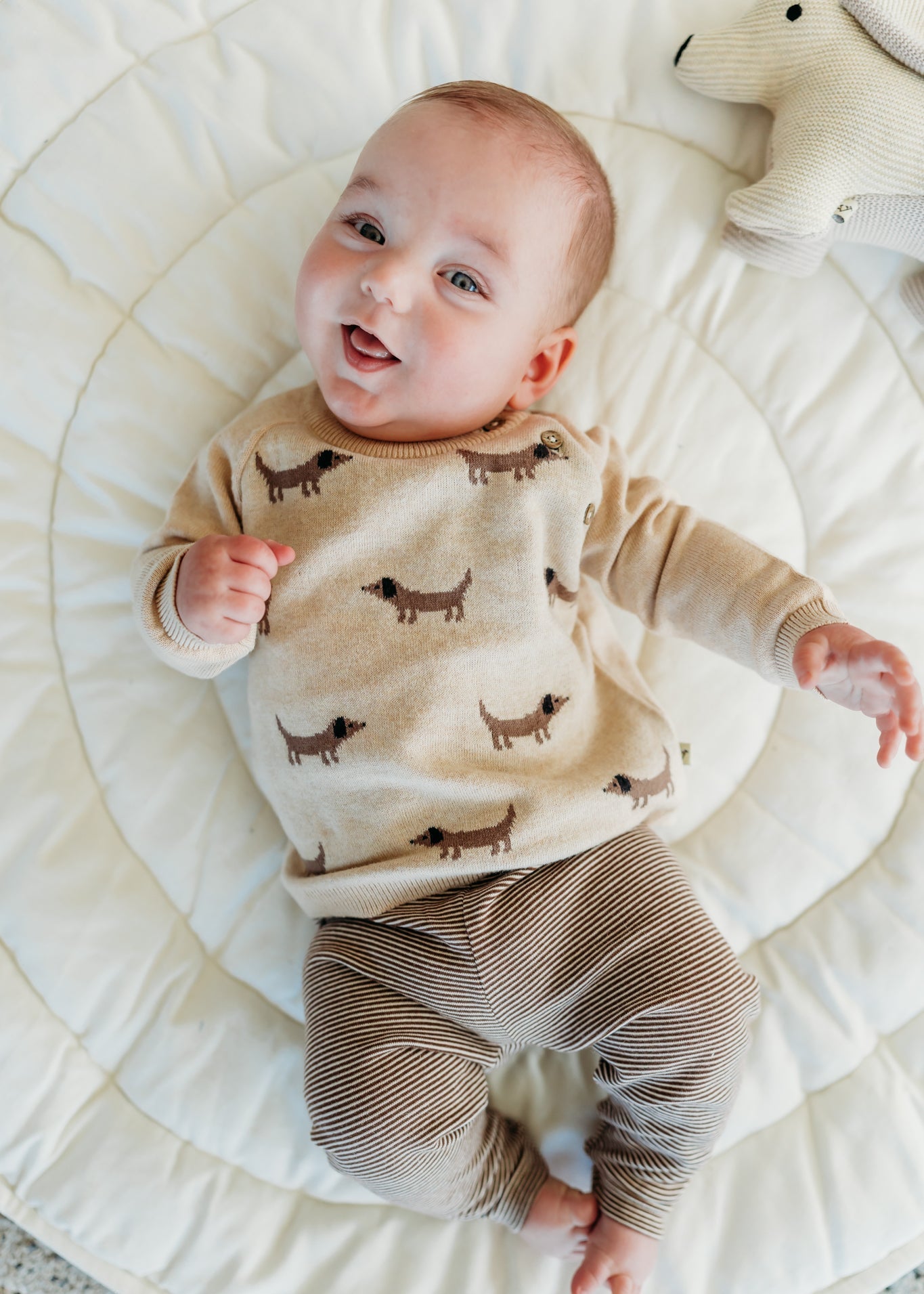 Doxie Dog Jacquard Knit Baby Raglan Pullover Sweater (Organic Cotton)