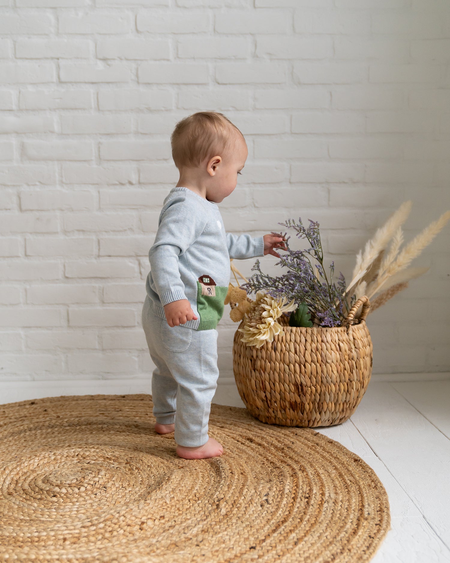 Farm Jacquard Knit Baby Pullover (Organic Cotton)