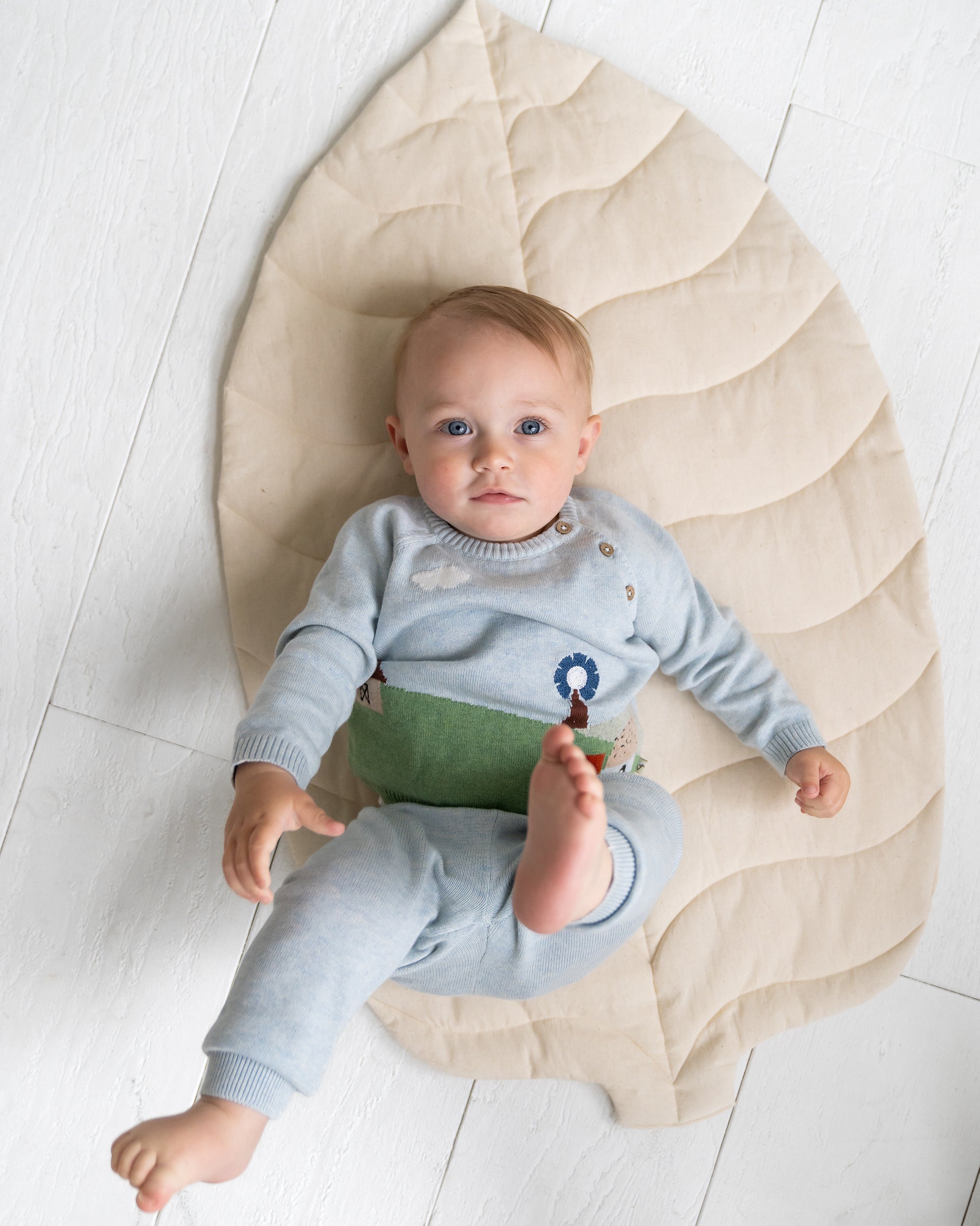 Farm Jacquard Knit Baby Pullover (Organic Cotton)