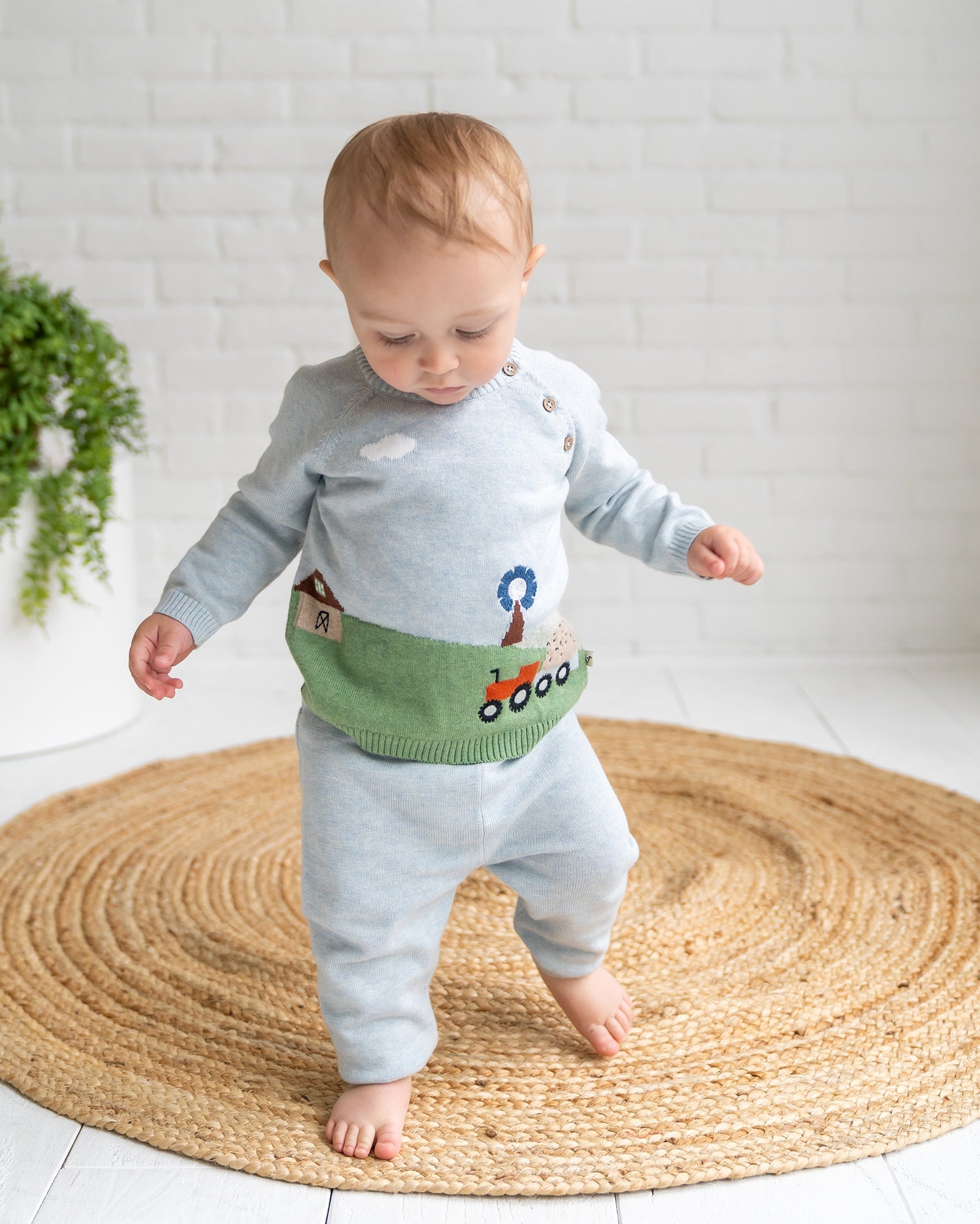 Farm Jacquard Knit Baby Pullover (Organic Cotton)