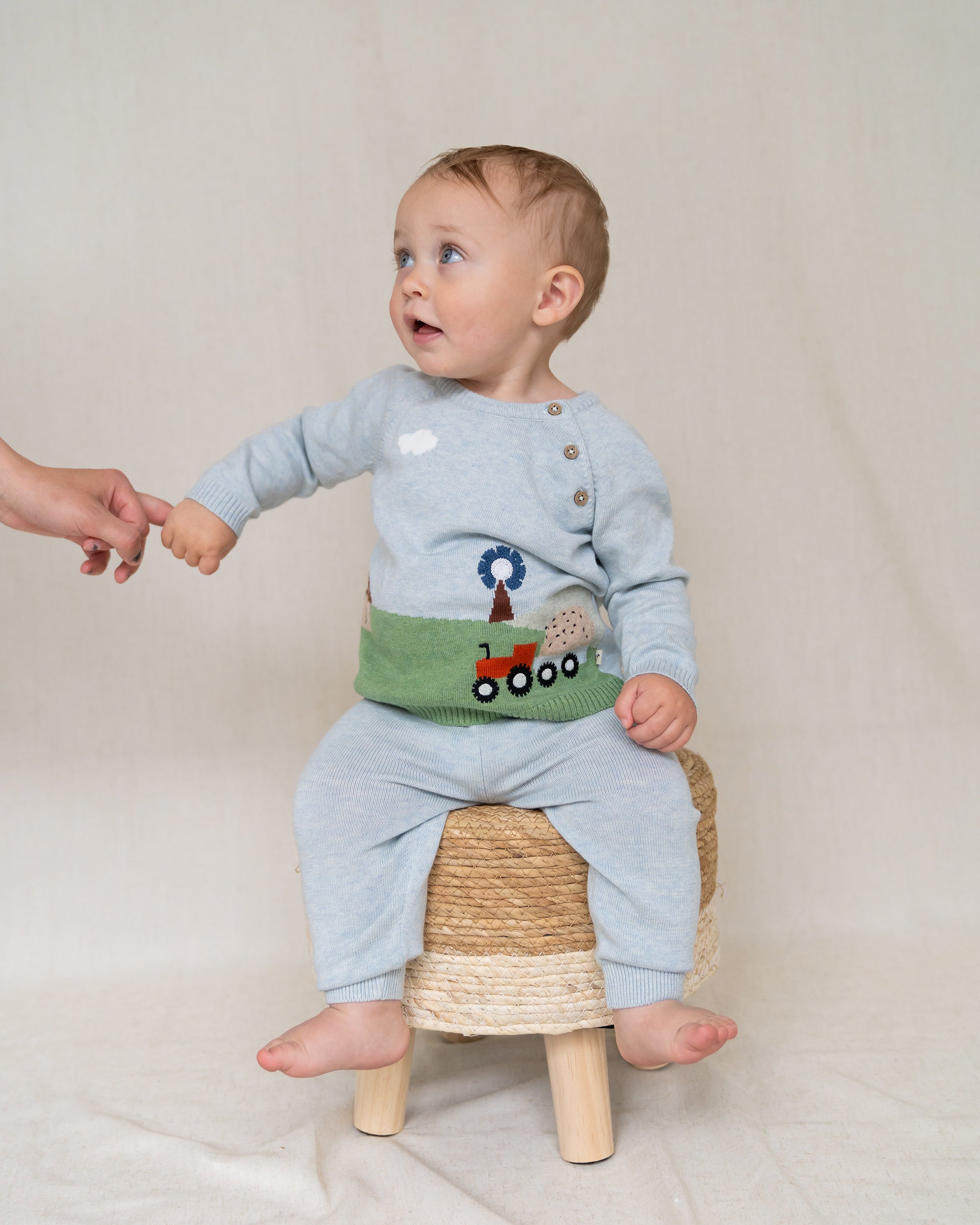 Farm Jacquard Knit Baby Pullover (Organic Cotton)
