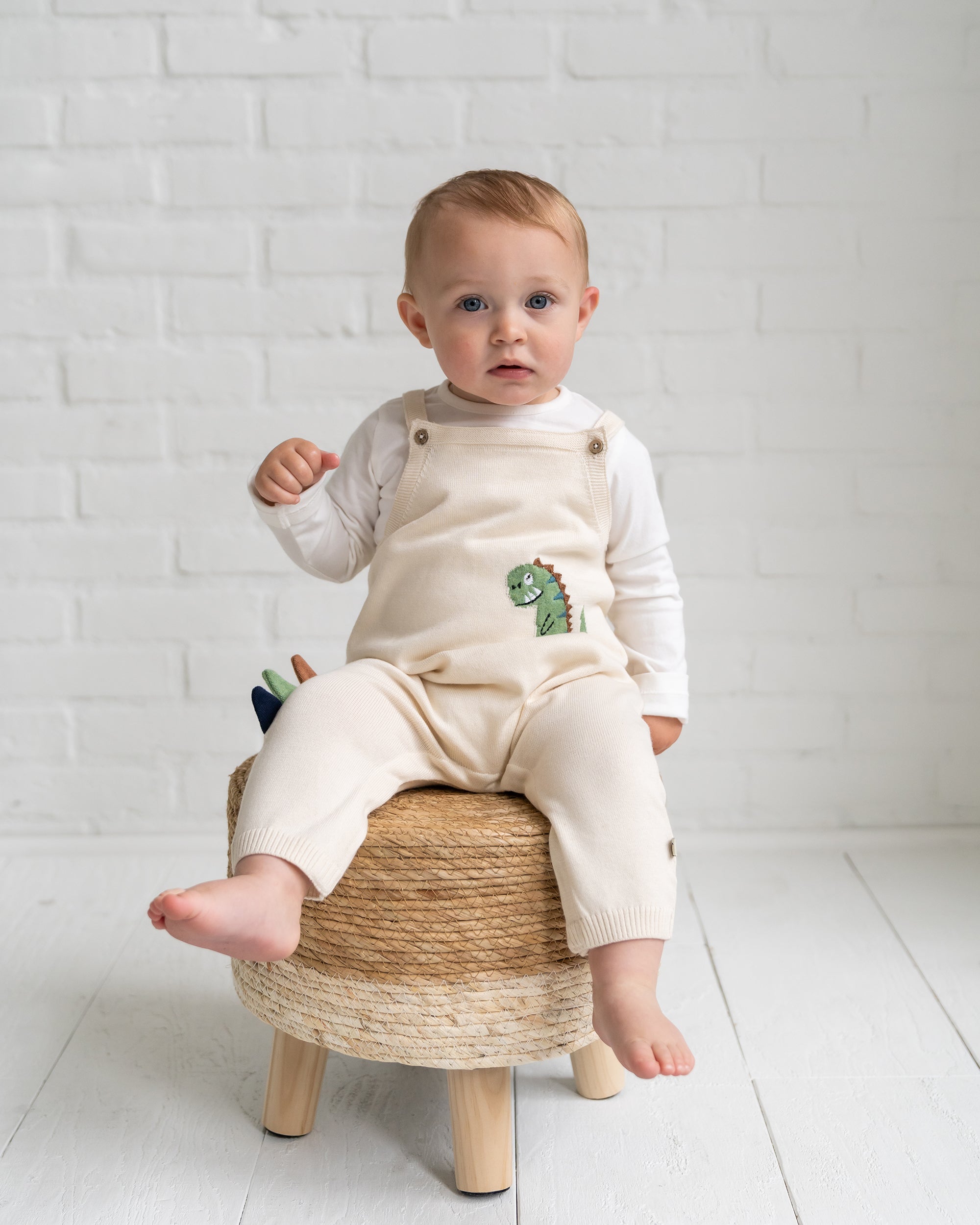 Dino Jacquard Knit Baby Overall & Bodysuit Set (Organic Cotton)